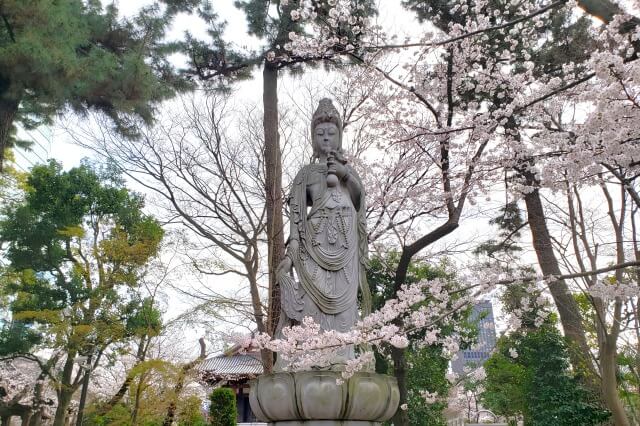 増上寺の桜の見どころ｜水盤舎