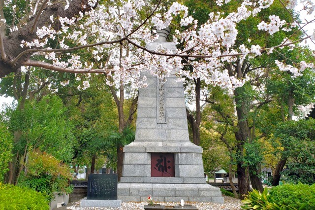増上寺の桜の見どころ｜水盤舎