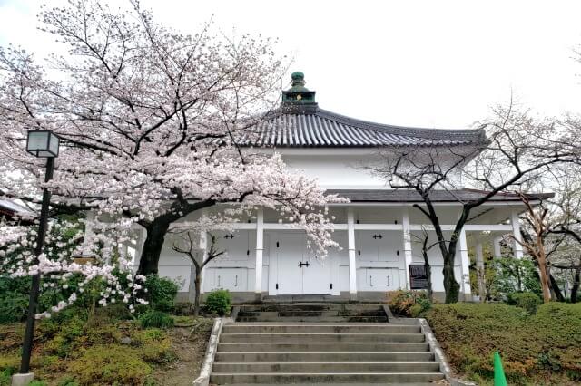 増上寺の桜の見どころ｜経蔵