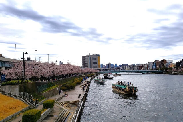隅田公園の桜の見どころ｜桜橋