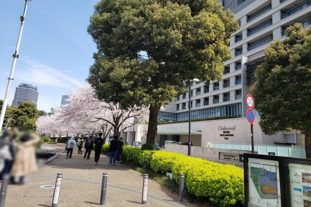 東京ミッドタウン(六本木)の桜の見どころ｜ミッドタウン・ガーデン