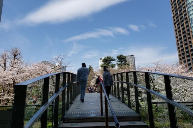 東京ミッドタウン(六本木)の桜の見どころ｜ガーデンアーチ