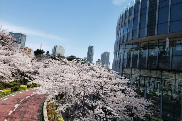 東京ミッドタウンのランチ｜テラスで桜が見られるカフェやレストラン