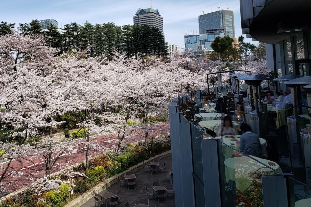 東京ミッドタウンのランチ｜テラスで桜が見られるカフェやレストラン