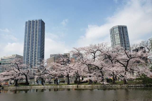上野(恩賜)公園の桜(花見)