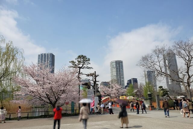上野(恩賜)公園の桜まつりの様子｜不忍池辯天堂（弁天堂）周辺の桜