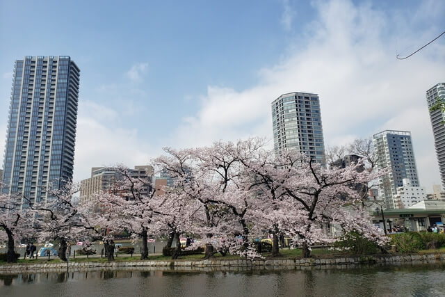 上野(恩賜)公園の桜まつりの様子｜不忍池辯天堂（弁天堂）周辺の桜