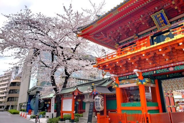 神田明神の桜(花見)｜神社の境内と隣の宮本公園の桜が綺麗です