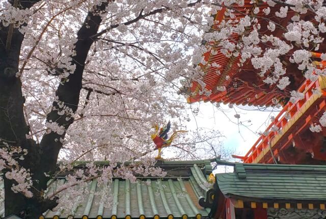 神田明神の桜の見どころ｜千社札納札所の鳳凰