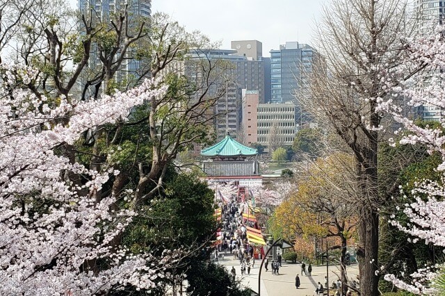 上野(恩賜)公園の桜(花見)の屋台(出店・露店)｜飲食できる場所は？