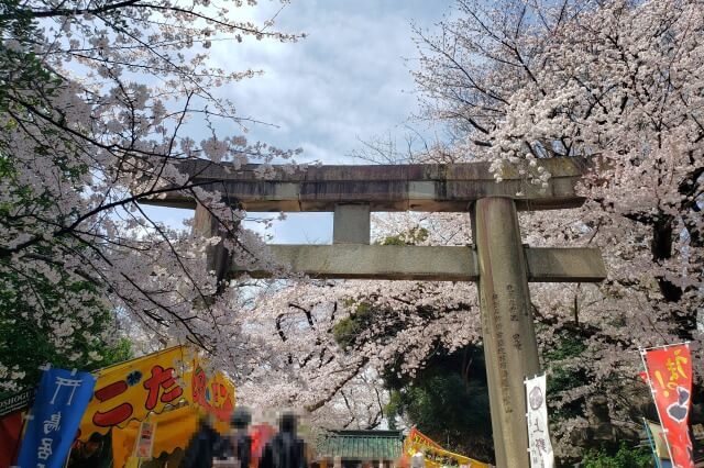 上野(恩賜)公園の桜(花見)で屋台(出店・露店)