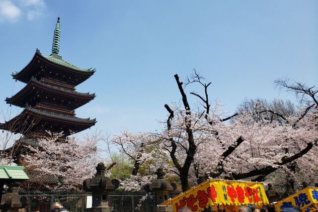 上野(恩賜)公園の桜(花見)の屋台(出店・露店)｜飲食できる場所