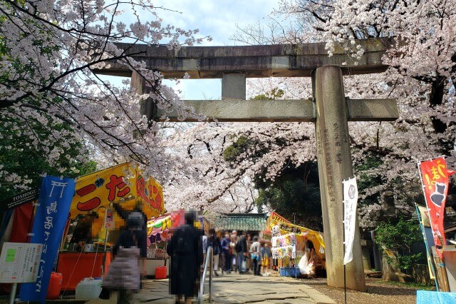 上野東照宮の桜(花見)の時期の屋台(出店・露店)