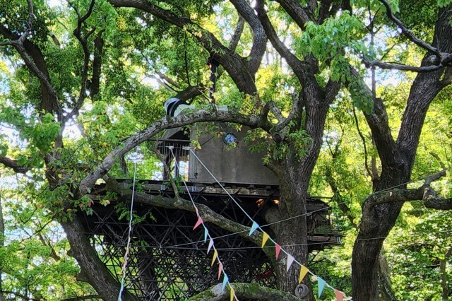 リゾナーレ熱海の森の空中基地「くすくす」｜クスノキのツリーハウス