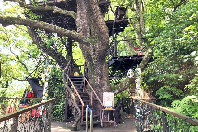 リゾナーレ熱海の森の空中基地「くすくす」のツリーハウス