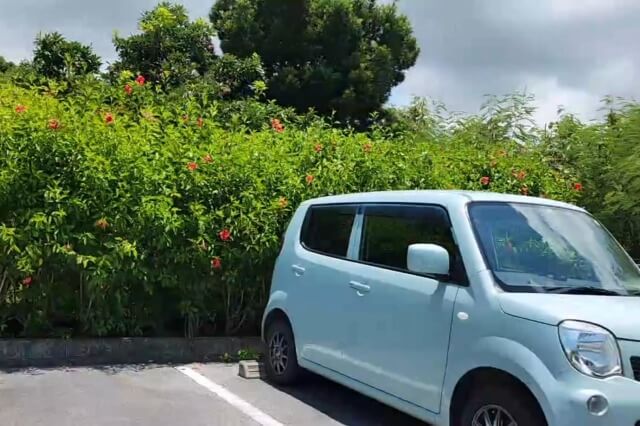 まいぱり宮古島熱帯果樹園の無料駐車場