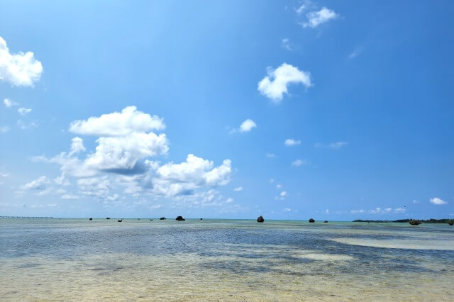 佐和田の浜の特徴｜海に浮かんでいるような大きな岩があります
