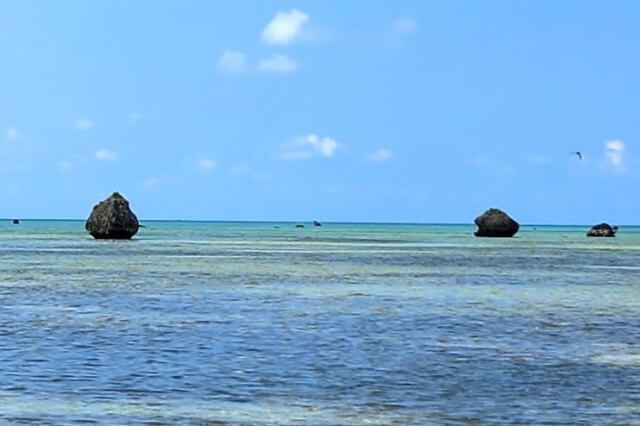 佐和田の浜の特徴｜海に浮かんでいるような大きな岩があります