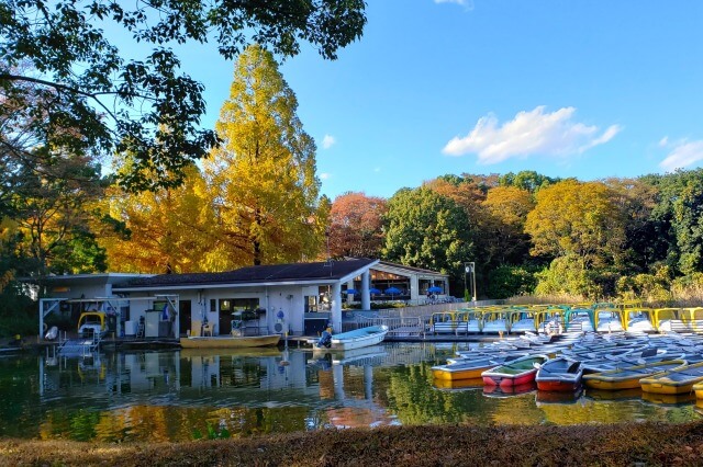 昭和記念公園｜レイクサイドレストラン周辺のメタセコイア