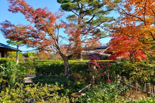 昭和記念公園の日本庭園の紅葉｜歓楓亭周辺は赤とオレンジ色