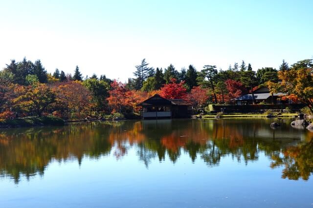 昭和記念公園の日本庭園の紅葉｜橋と橋から見る景色