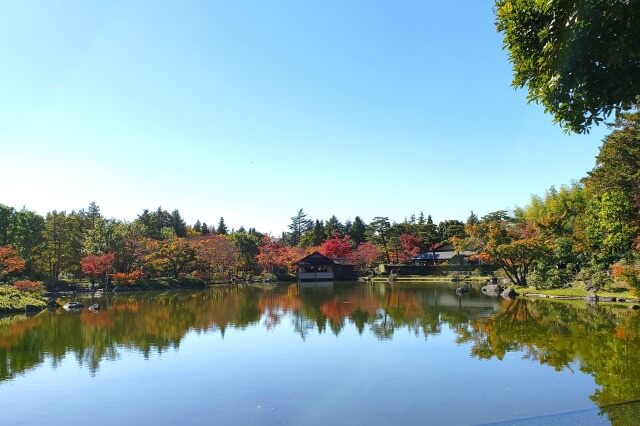 昭和記念公園の日本庭園｜季節の移ろいを感じられる池泉回遊式庭園