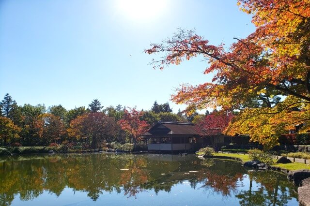 昭和記念公園の日本庭園の清池軒