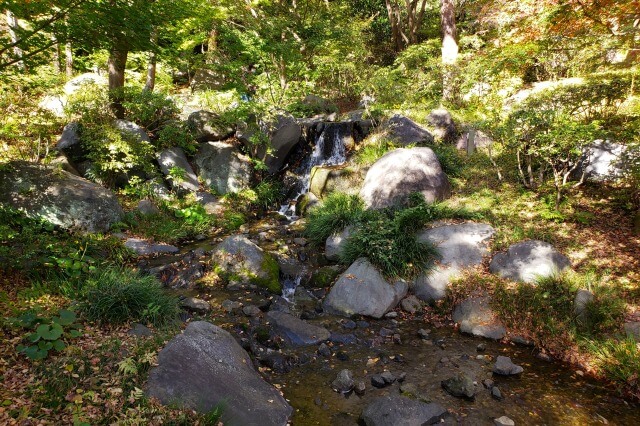昭和記念公園の日本庭園の滝