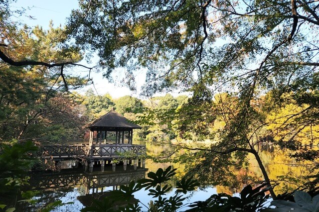 厳島神社周辺の紅葉