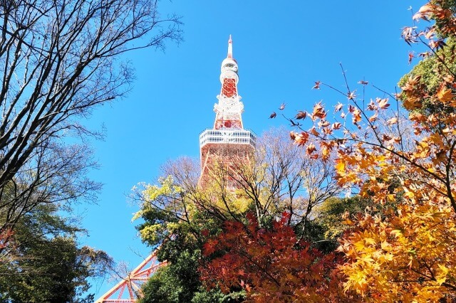 もみじ谷の紅葉｜もみじの滝と東京タワー
