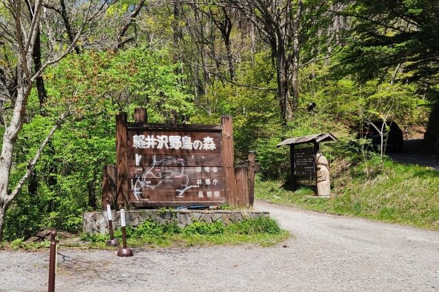ピッキオの軽井沢野鳥の森ネイチャーウォッチングに参加しました。